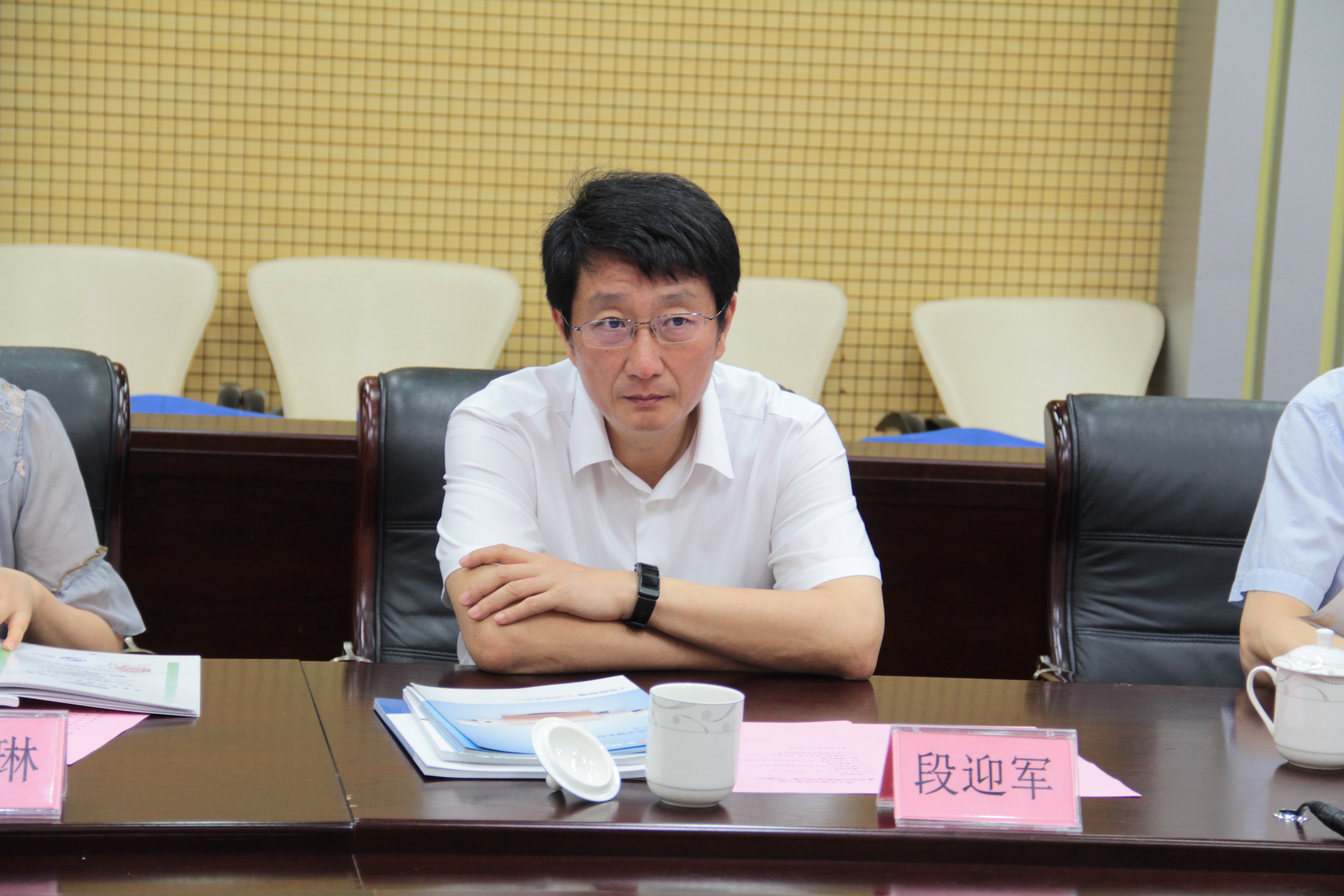 玻纖表面匹克球拍